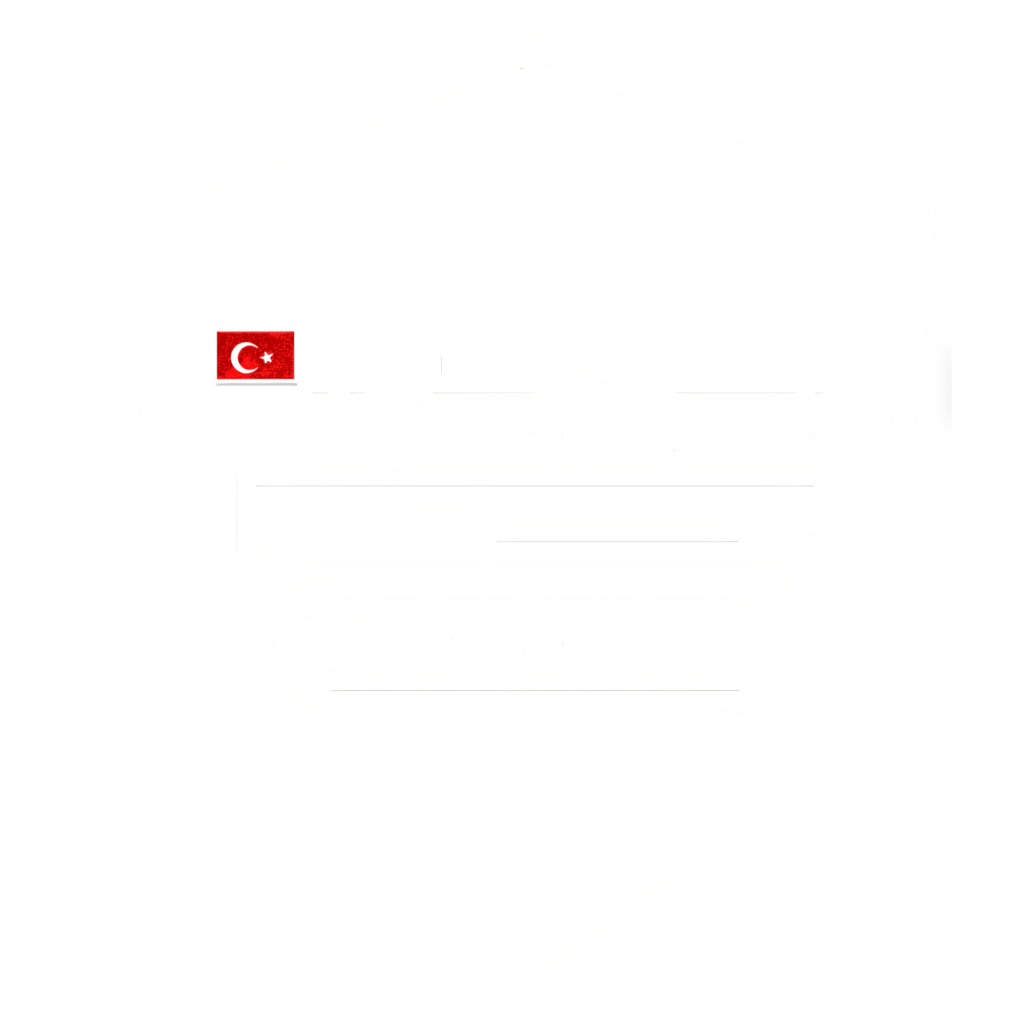 TİMUR Logo